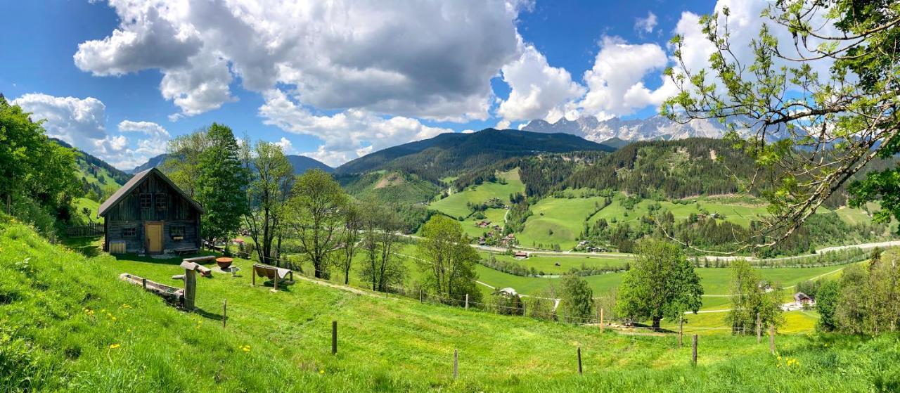 Apartment Frechhof Schladming